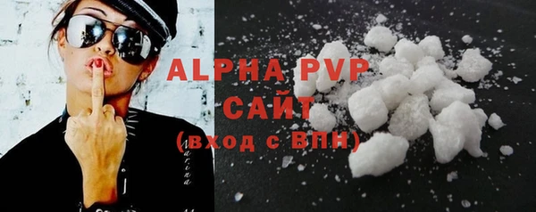 шишки Сатка