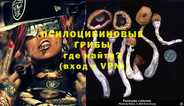 шишки Сатка