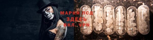 ECSTASY Куровское