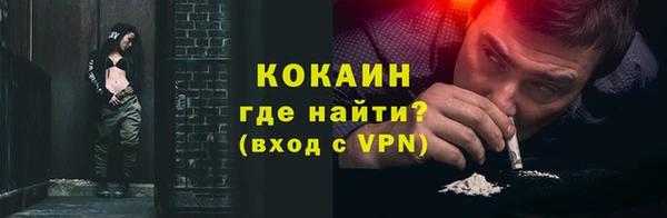 шишки Сатка