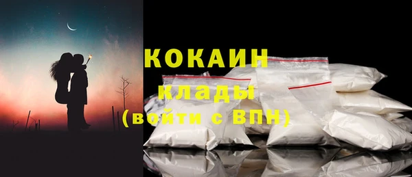 шишки Сатка