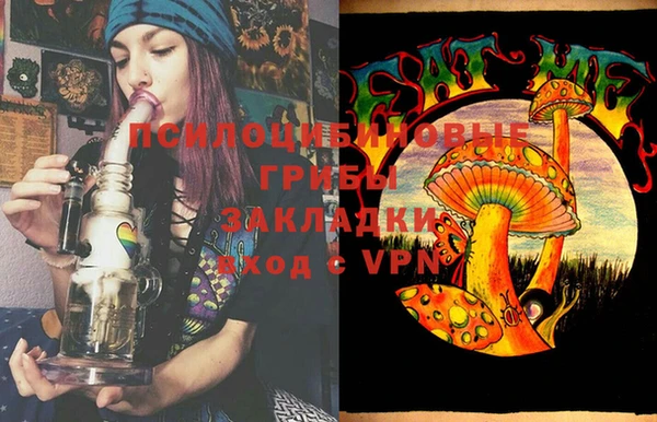 шишки Сатка