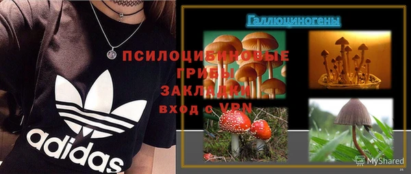 шишки Сатка