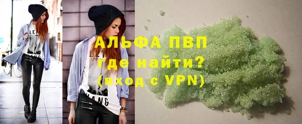 шишки Сатка