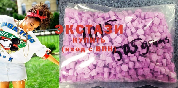 шишки Сатка